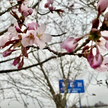 4月〜5月の営業につ…