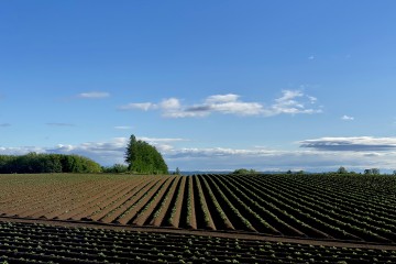 6月のお休みのお知らせ