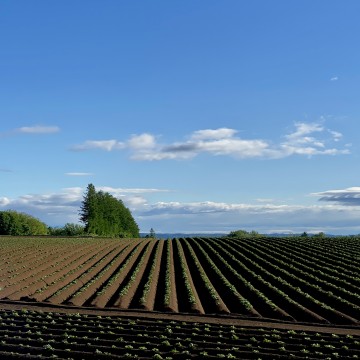 6月のお休みのお知ら…