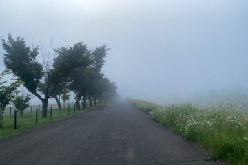 7月のお休みのお知らせ