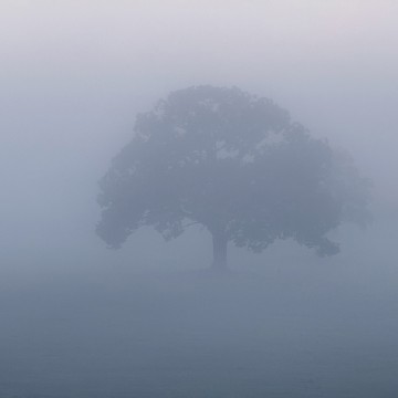10月のお休みのお知…
