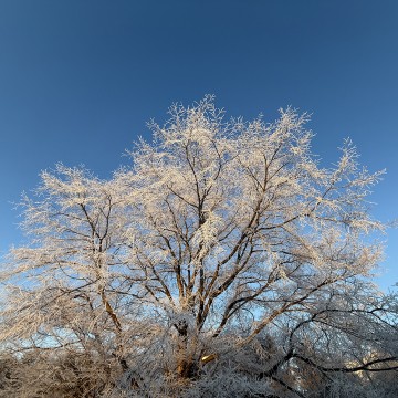 2025年冬季休業の…