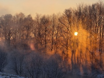 2025年営業開始。2月の営業日のお知らせ