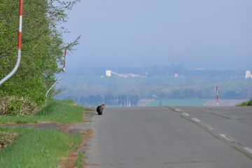 避暑地として開放します